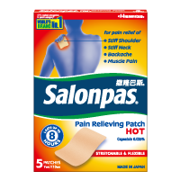 Salonpas Pain Relieving Patch HOT Singapore