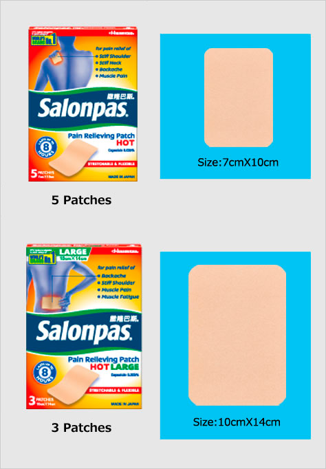 Salonpas Pain Relieving Patch HOT Singapore